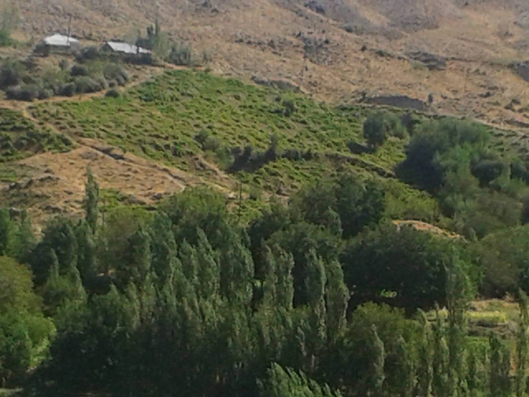 Doğanşehir Beğre Köyü Resimleri 3