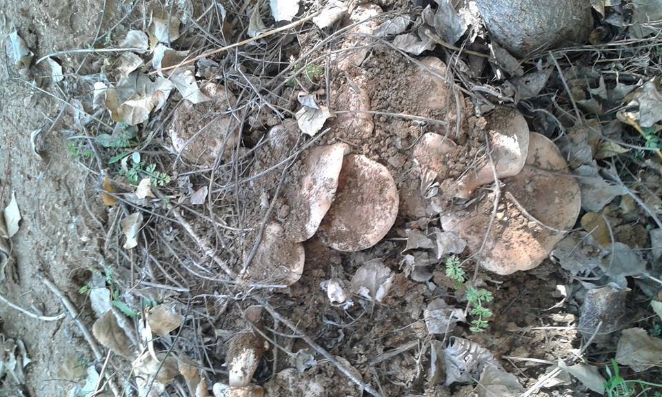 Doğanşehir Çavuşlu Köyü Resimleri 3