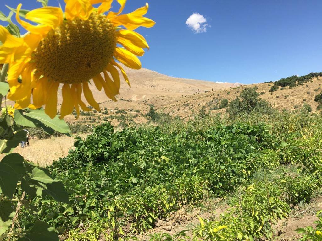 Doğanşehir Çavuşlu Köyü Resimleri 7