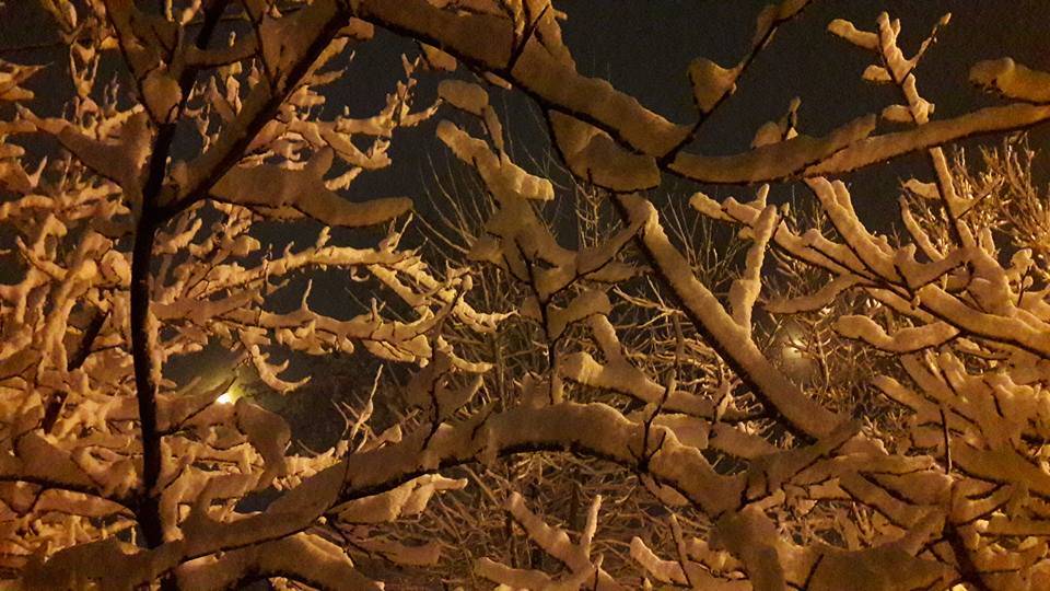 Doğanşehir Çığlık Köyü Resimleri 3