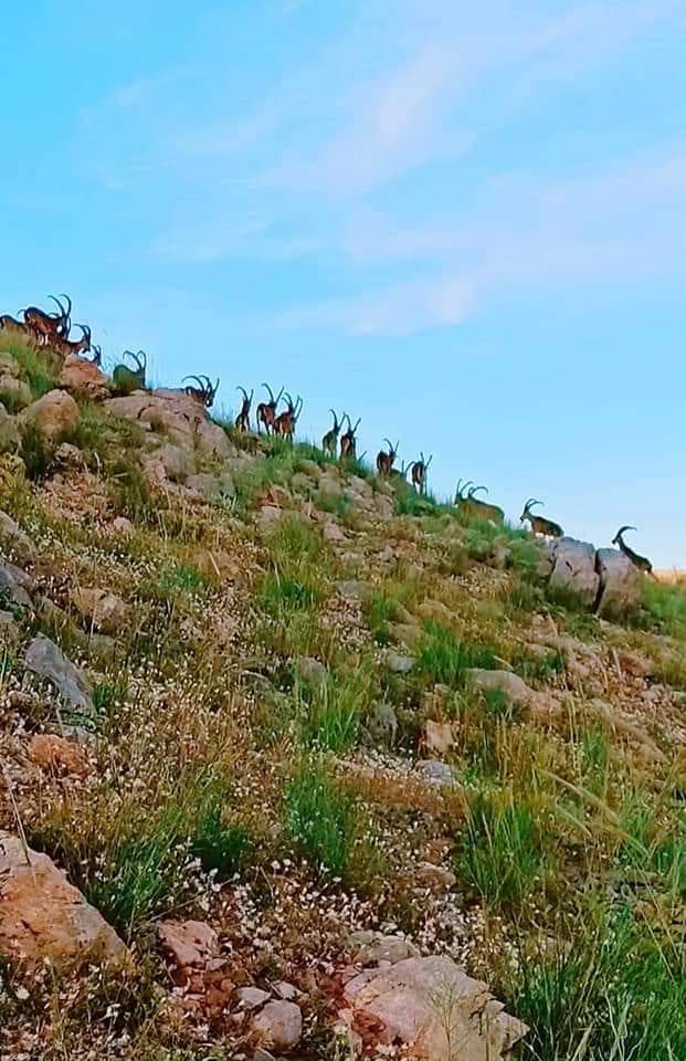 Doğanşehir Eskiköy Köyü Resimleri 2