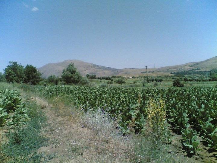 Doğanşehir Fındık Köyü Resimleri 1