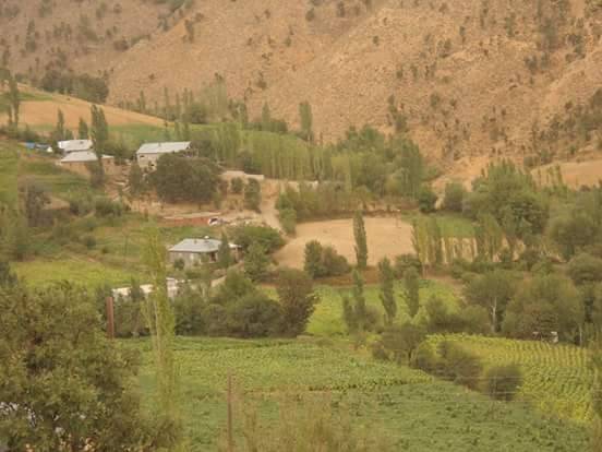 Doğanşehir Gövdeli Köyü Resimleri 2