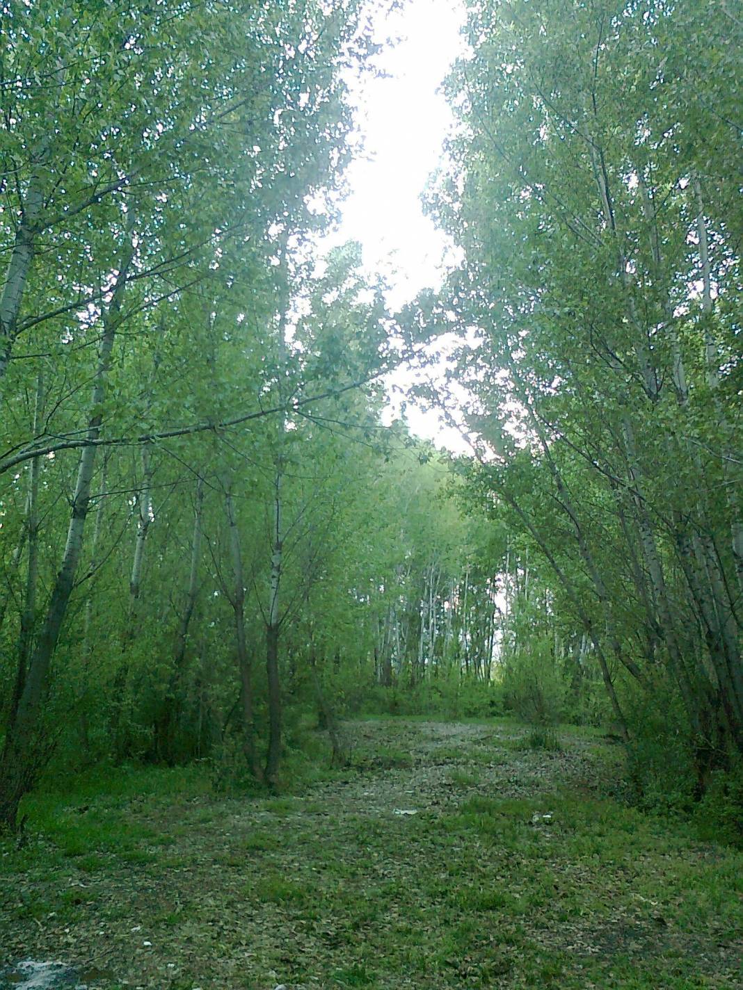 Doğanşehir Günedoğru Köyü Resimleri 9