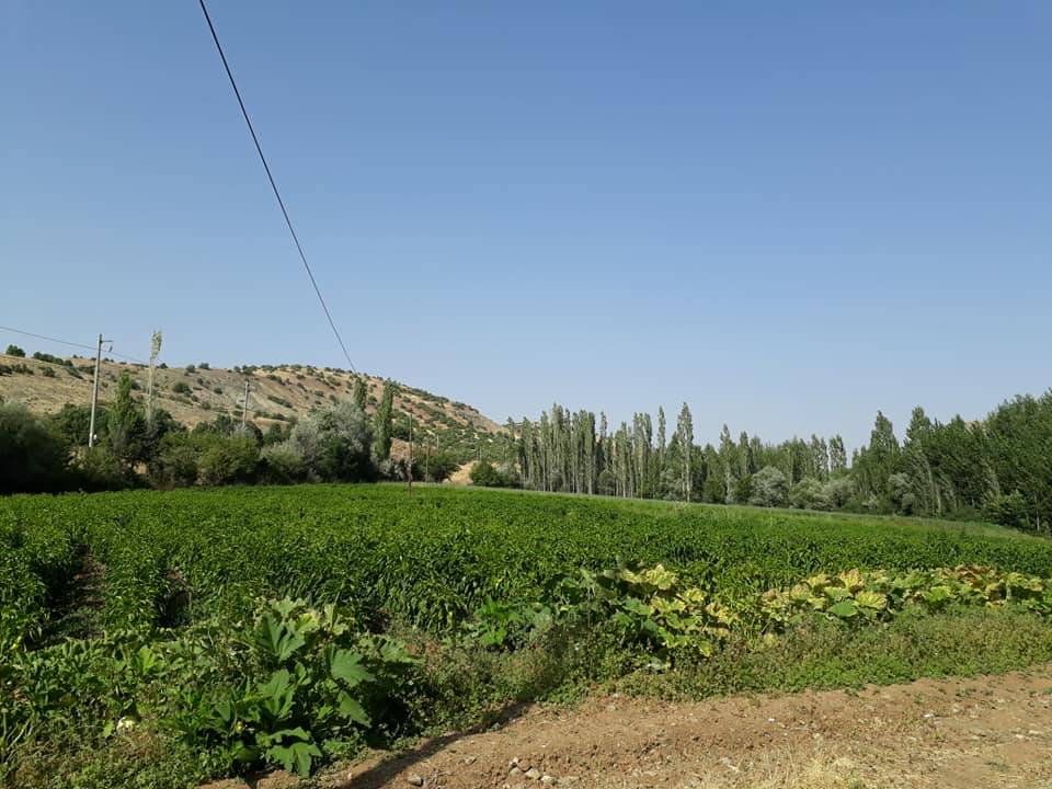 Doğanşehir Hudut Köyü Resimleri 6