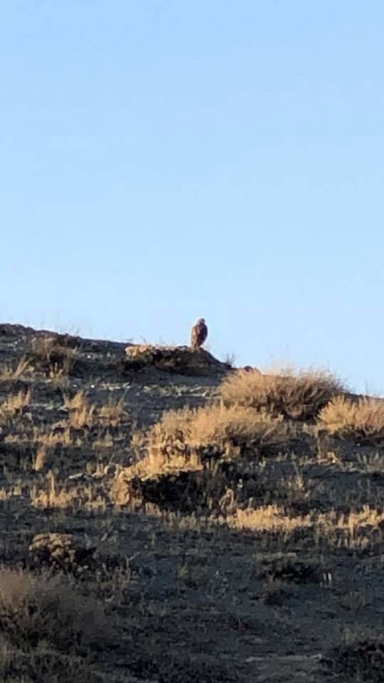 Doğanşehir Hudut Köyü Resimleri 8