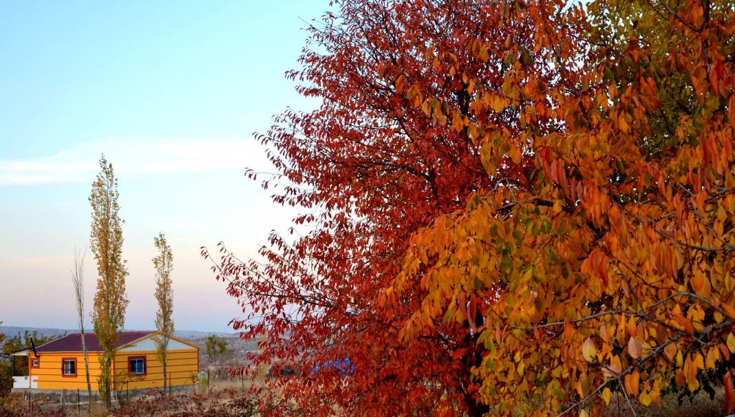 Doğanşehir Kelhalil Köyü Resimleri 8