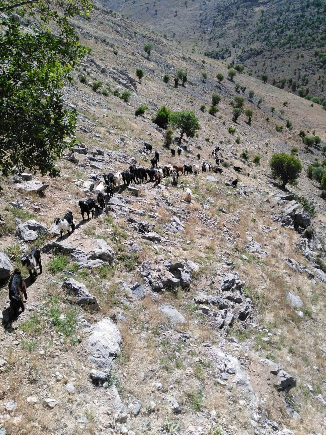 Doğanşehir Koçdere Köyü Resimleri 1