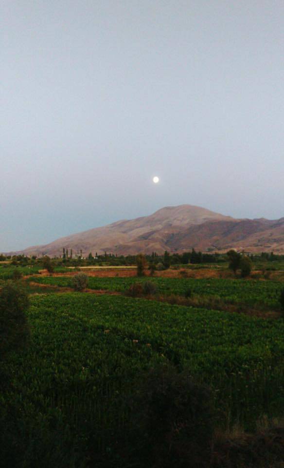 Doğanşehir Kurucaova Köyü Resimleri 1