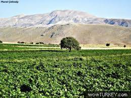 Doğanşehir Kurucaova Köyü Resimleri 2