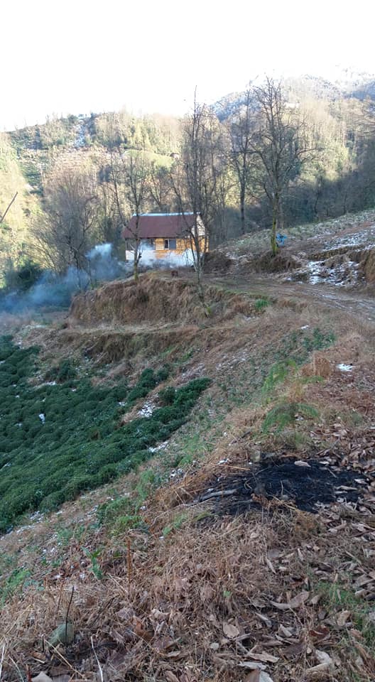 Fındıklı Doğanay Köyü Resimleri 1