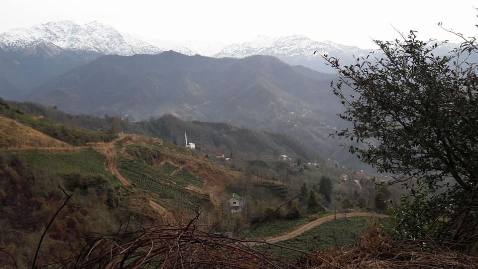 Fındıklı Doğanay Köyü Resimleri 2