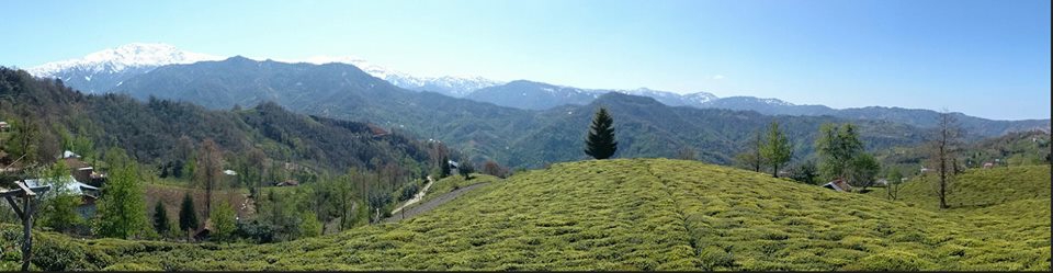 Fındıklı Doğanay Köyü Resimleri 3