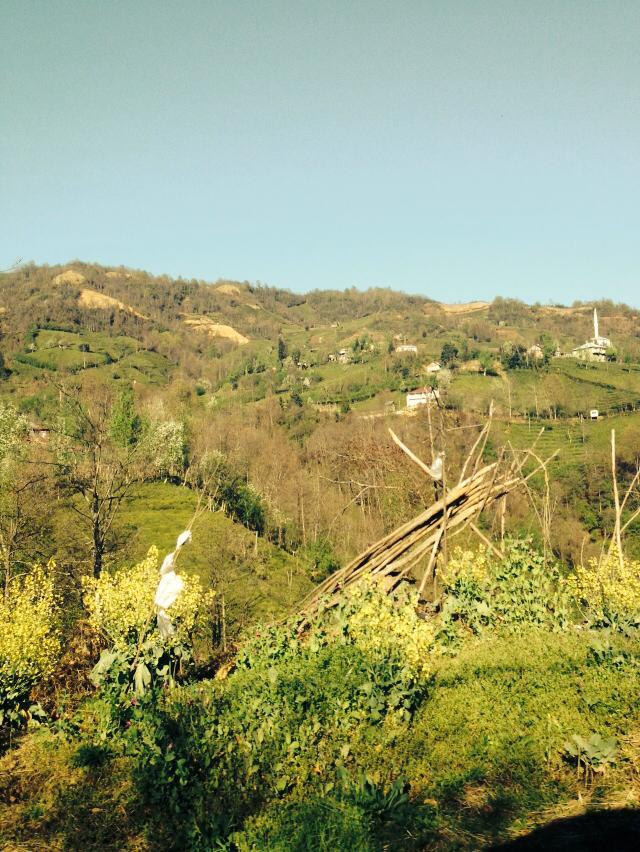 Fındıklı Doğanay Köyü Resimleri 5