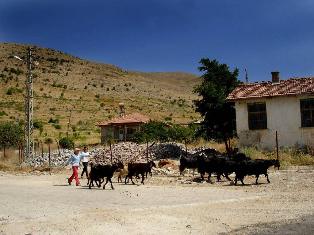 Doğanşehir Söğüt Köyü Resimleri 11