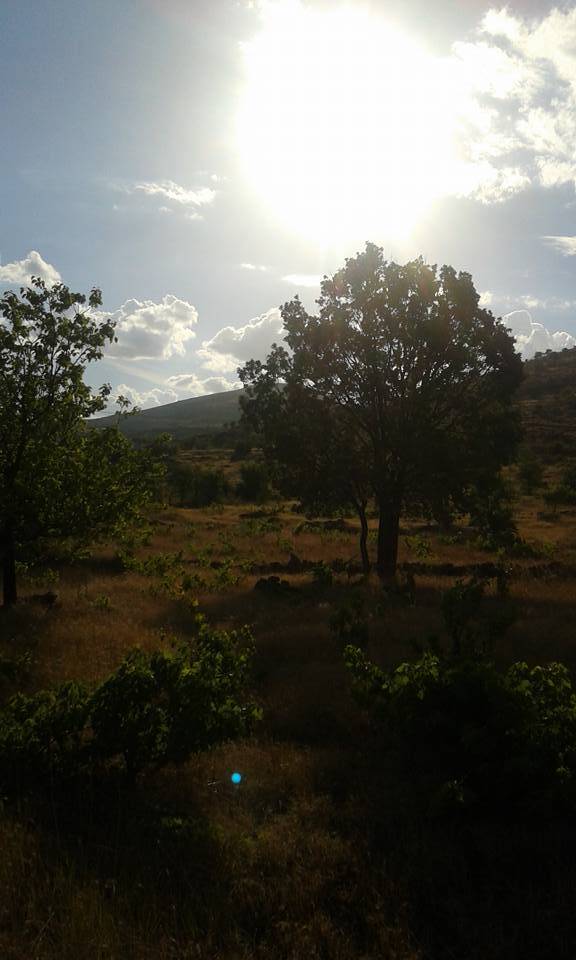 Doğanşehir Söğüt Köyü Resimleri 6