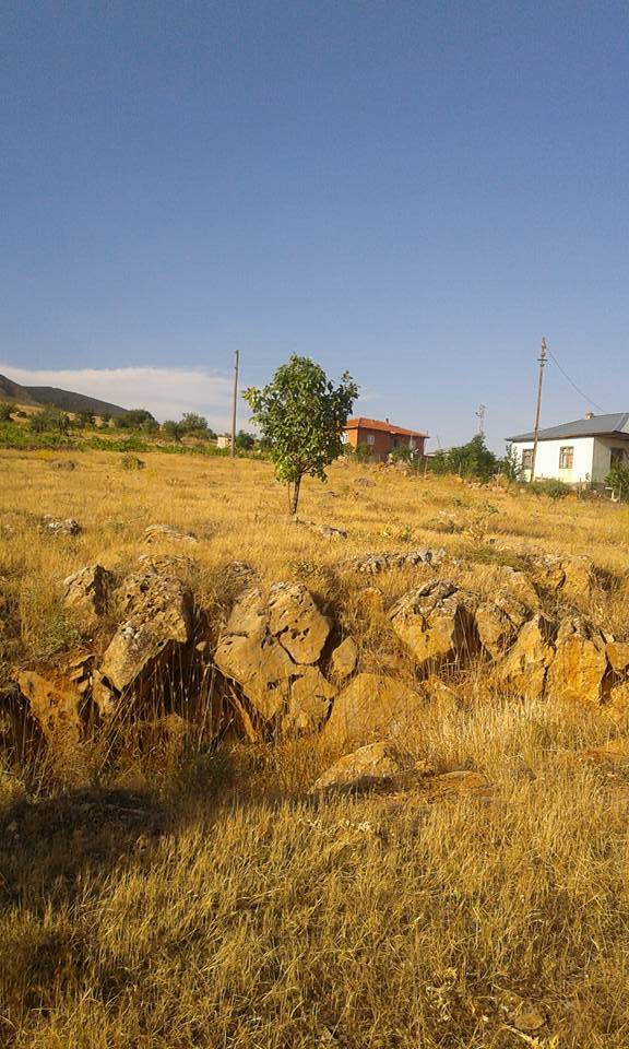 Doğanşehir Söğüt Köyü Resimleri 7