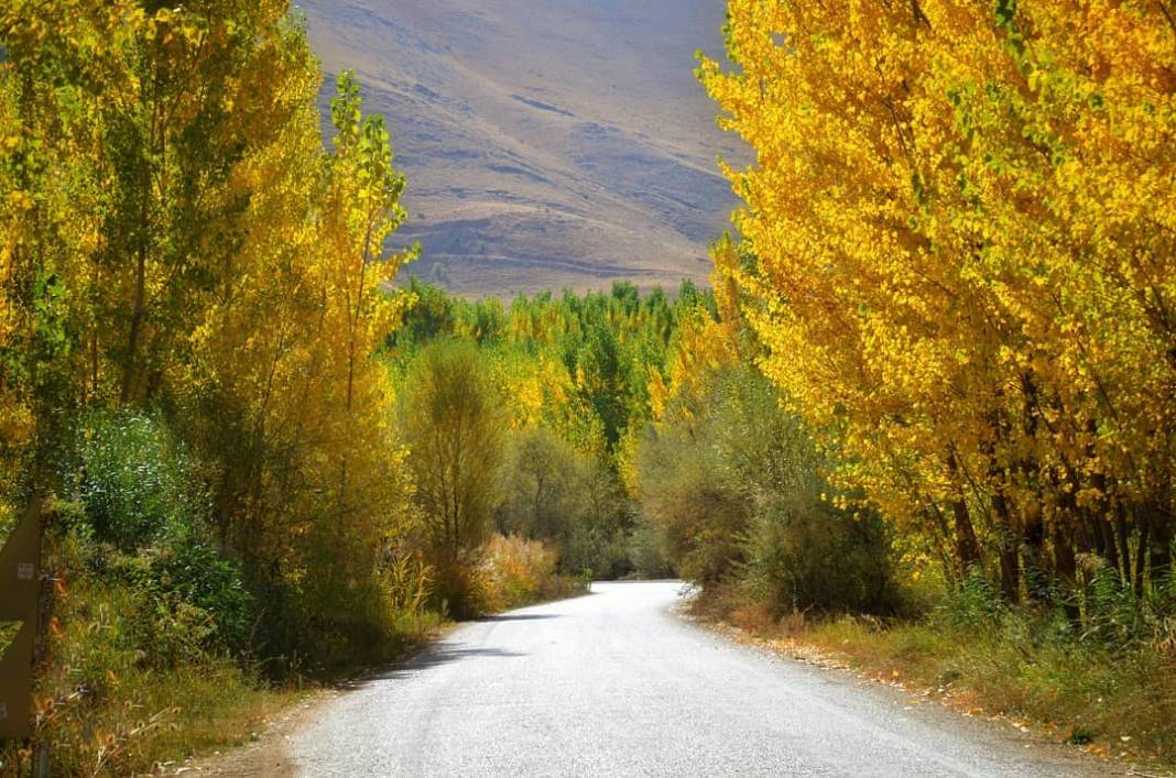 Doğanşehir Sürgü Köyü Resimleri 6