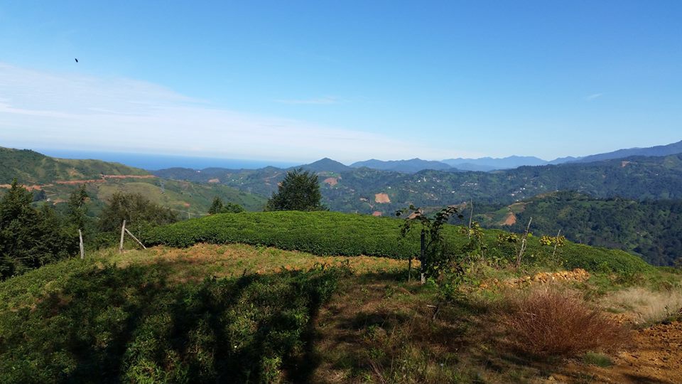 Fındıklı Hara Köyü Resimleri 7