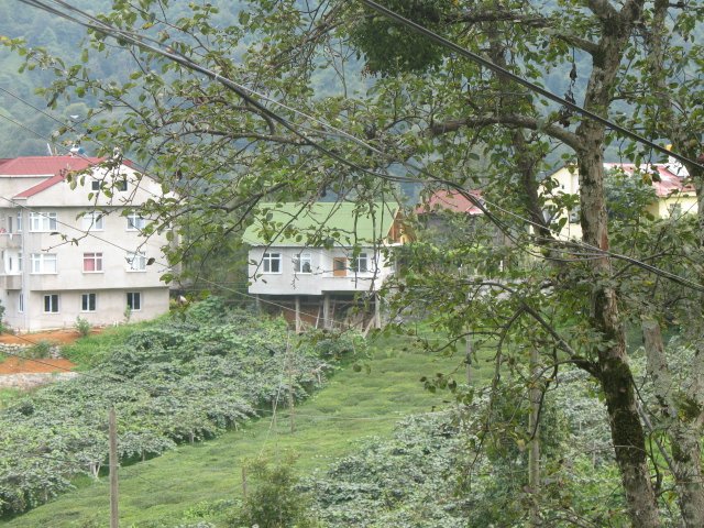 Fındıklı Hara Köyü Resimleri 8