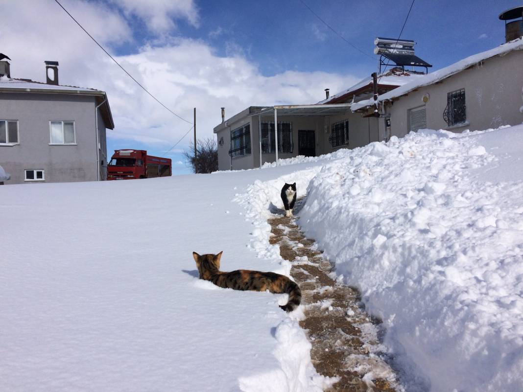 Doğanşehir Şatıroba Köyü Resimleri 1
