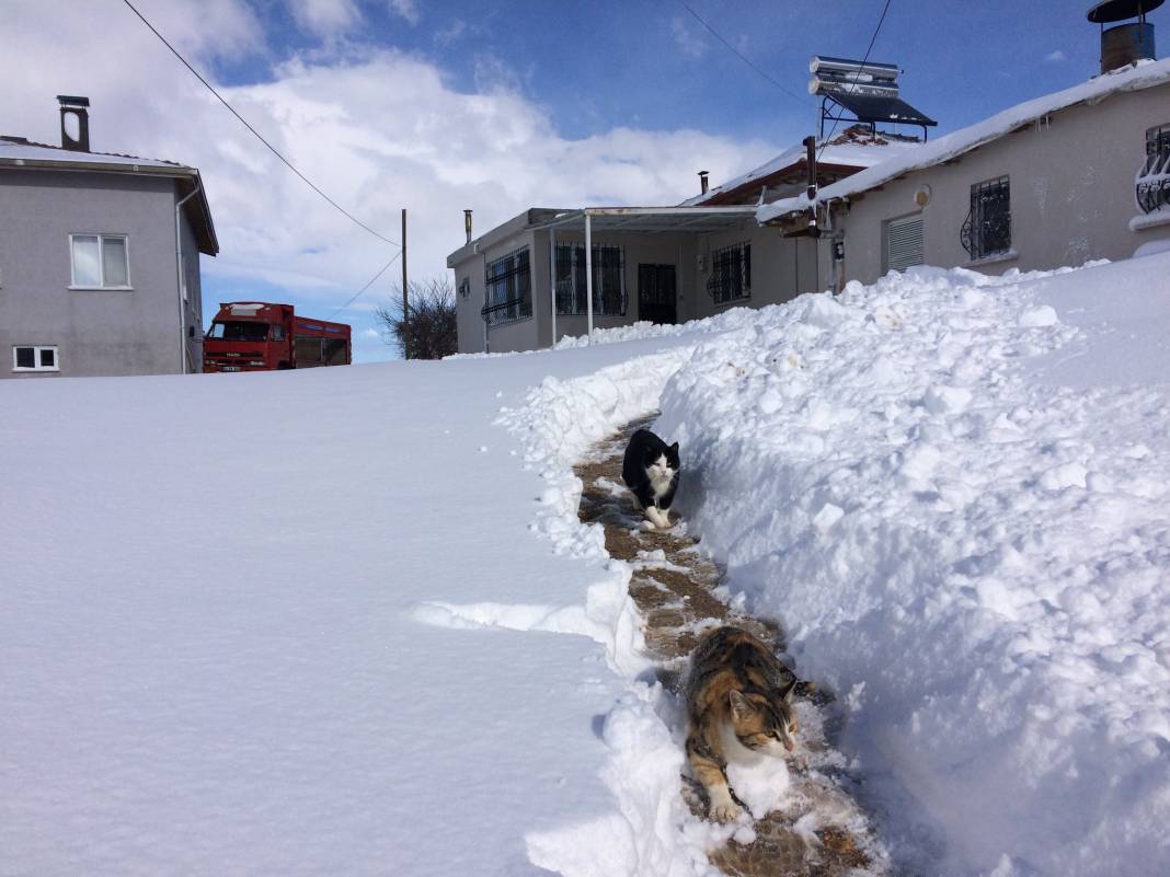 Doğanşehir Şatıroba Köyü Resimleri 3
