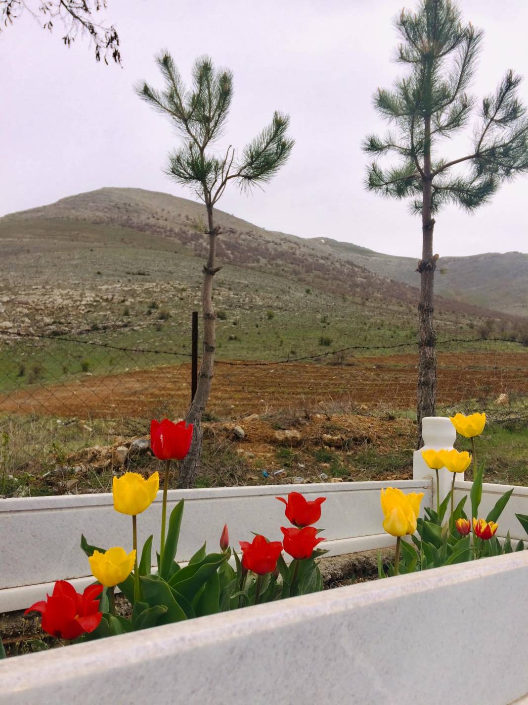 Doğanşehir Şatıroba Köyü Resimleri 7