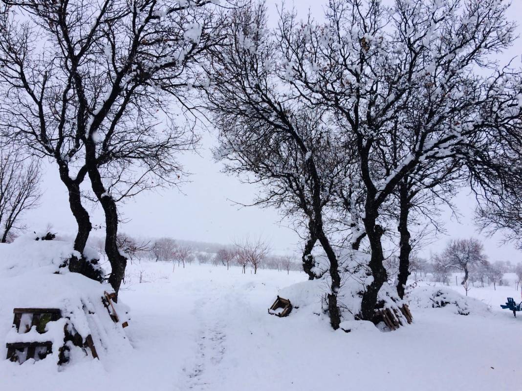 Doğanşehir Şatıroba Köyü Resimleri 9