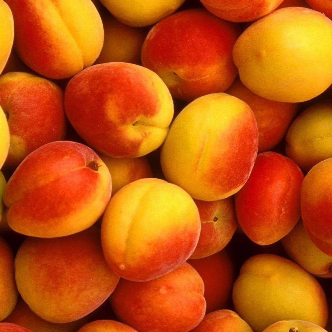 Doğanşehir Topraktepe Köyü Resimleri 14