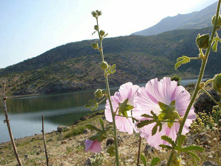 Doğanşehir Topraktepe Köyü Resimleri 2