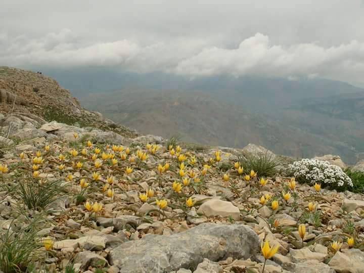 Doğanşehir Topraktepe Köyü Resimleri 3