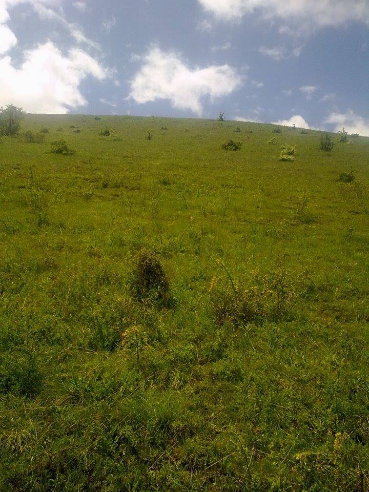 Doğanşehir Topraktepe Köyü Resimleri 4