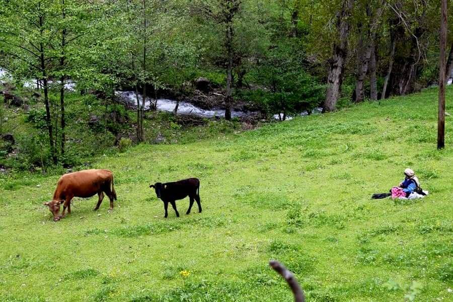 Doğanşehir Topraktepe Köyü Resimleri 5