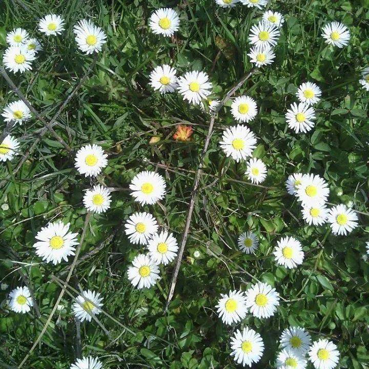 Doğanşehir Topraktepe Köyü Resimleri 6