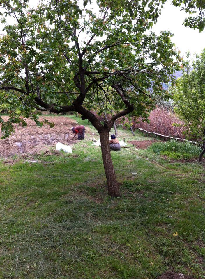 Doğanşehir Yolkoru Köyü Resimleri 2