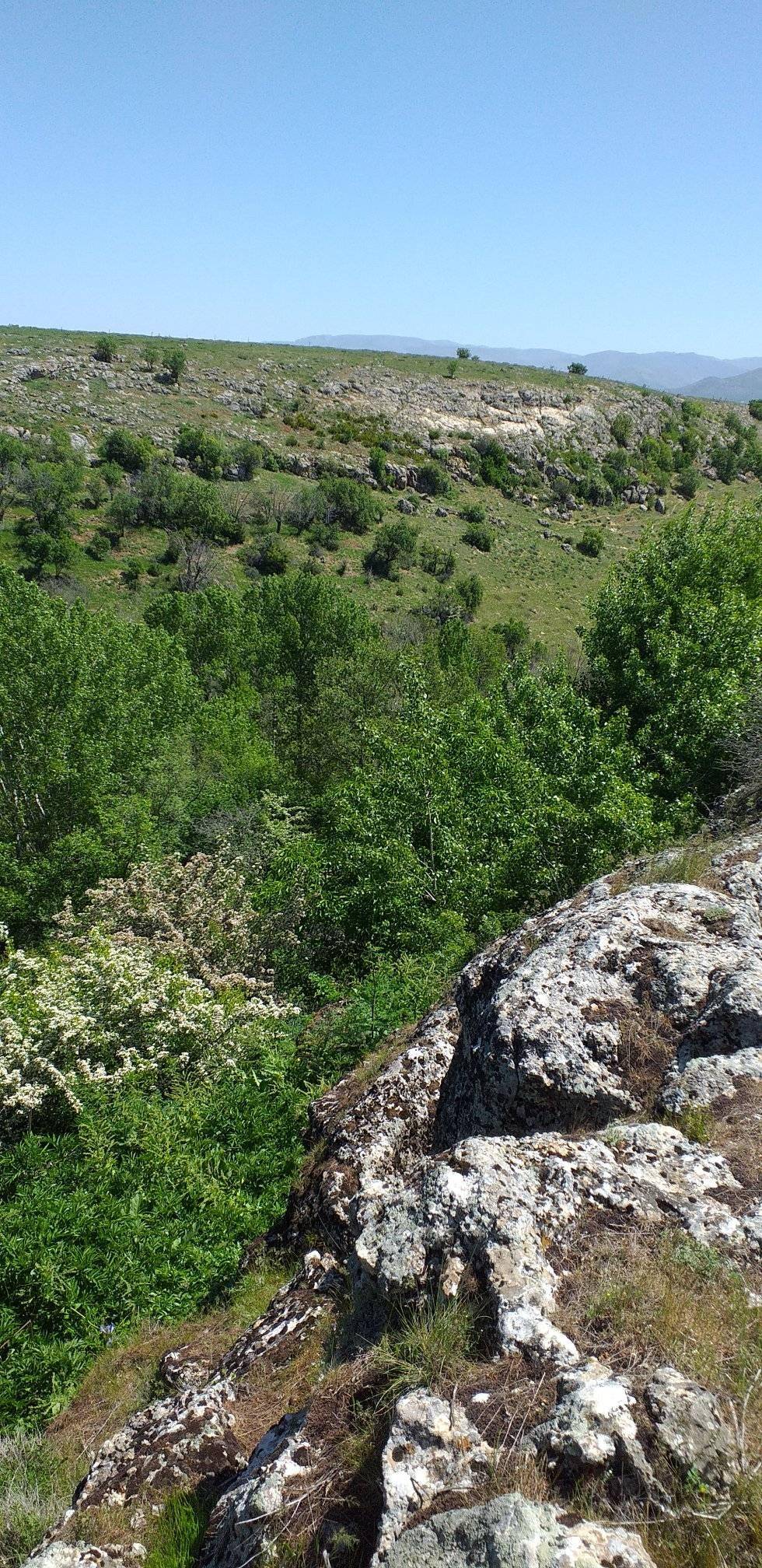 Doğanşehir Yolkoru Köyü Resimleri 8