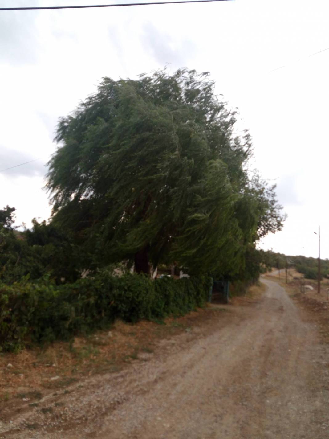 Doğanşehir Yuvalı Köyü Resimleri 4