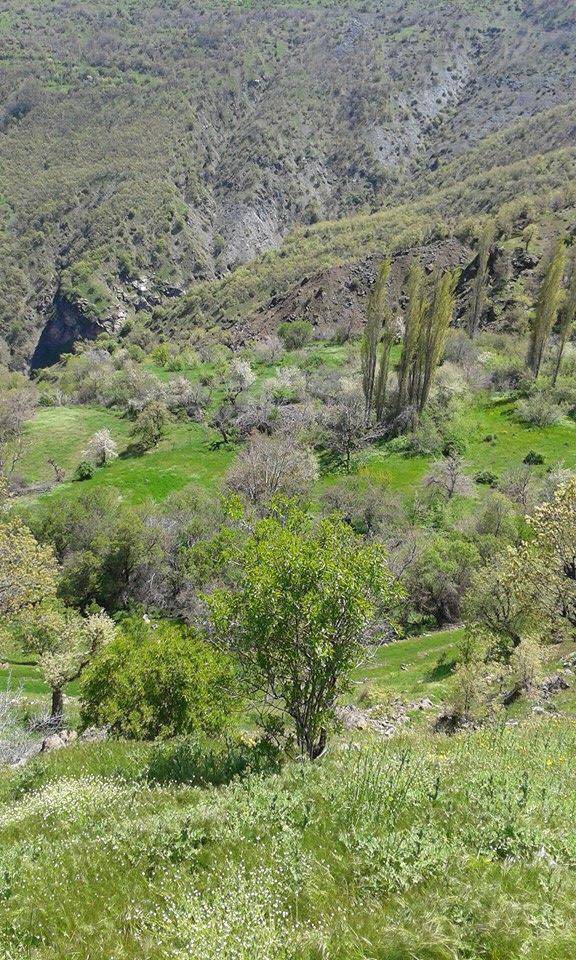 Doğanyol Akkent Köyü Resimleri 3