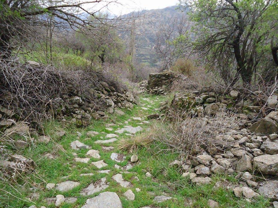 Doğanyol Bahramlı Köyü Resimleri 10