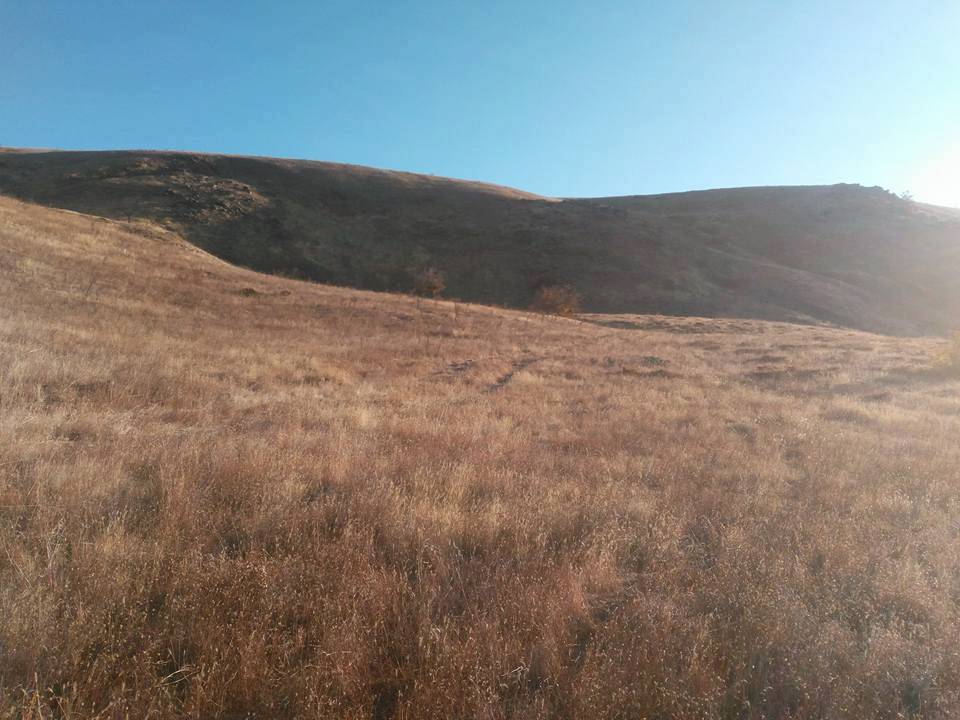 Doğanyol Bahramlı Köyü Resimleri 6