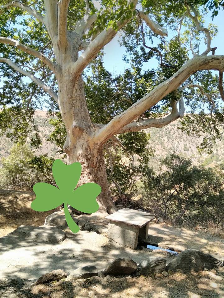 Doğanyol Bahramlı Köyü Resimleri 7