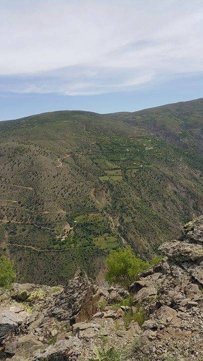 Doğanyol Damlı Köyü Resimleri 4