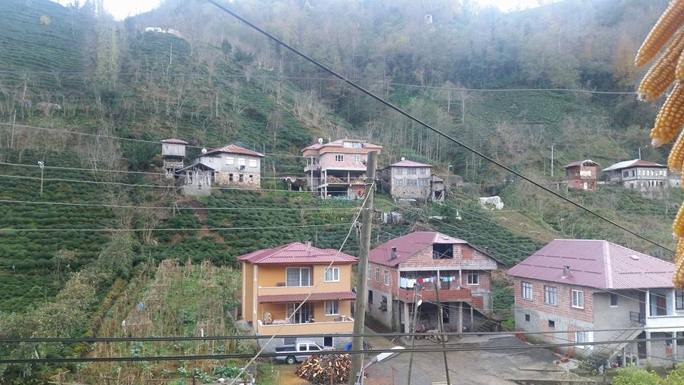 Fındıklı Ihlamurlu Köyü Resimleri 11