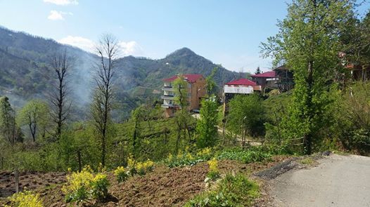 Fındıklı Ihlamurlu Köyü Resimleri 2