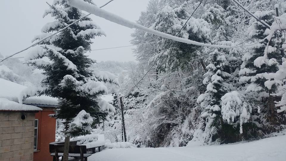 Fındıklı Ihlamurlu Köyü Resimleri 4