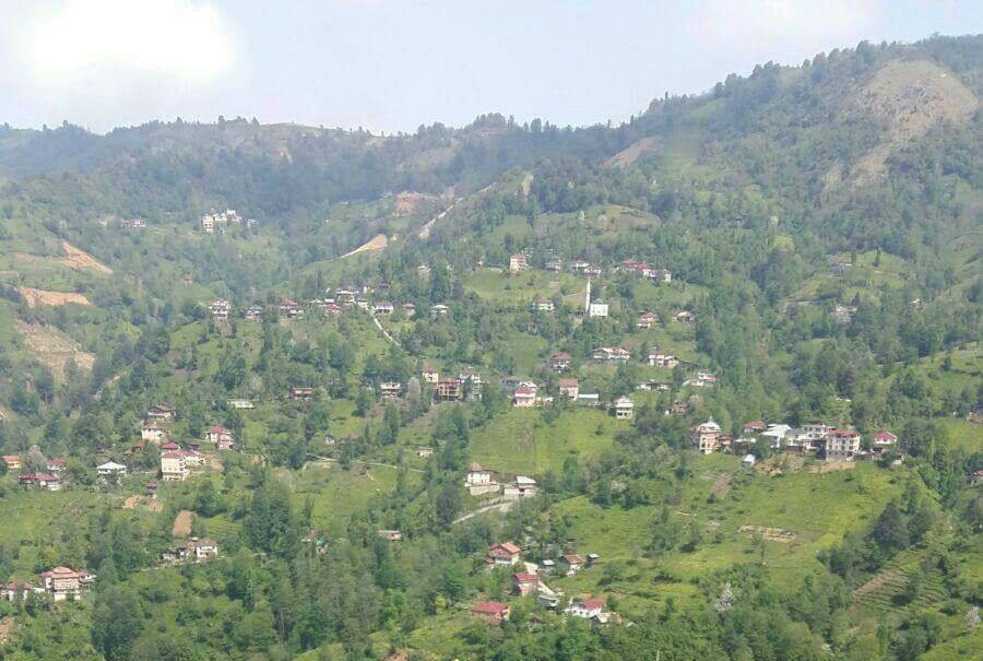 Fındıklı Ihlamurlu Köyü Resimleri 6