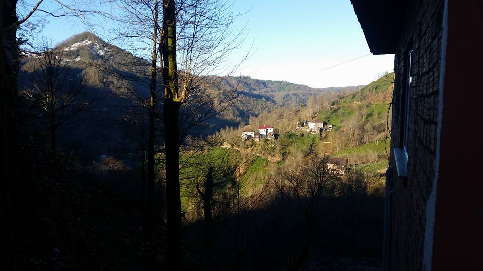 Fındıklı Ihlamurlu Köyü Resimleri 8