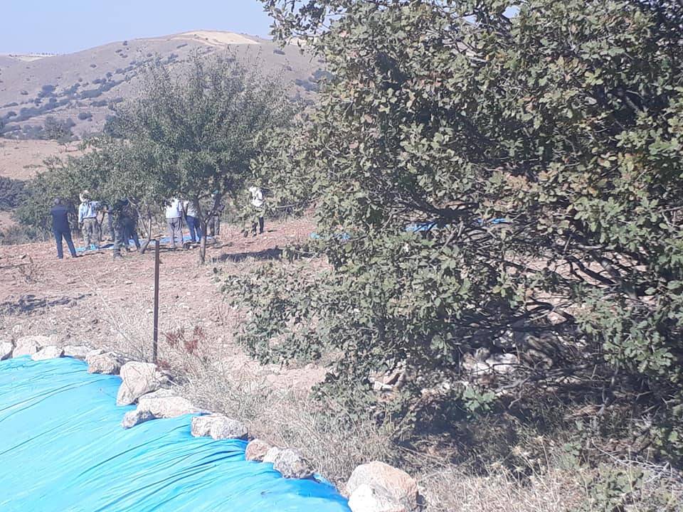 Felahiye Menteşe Köyü Resimleri 5