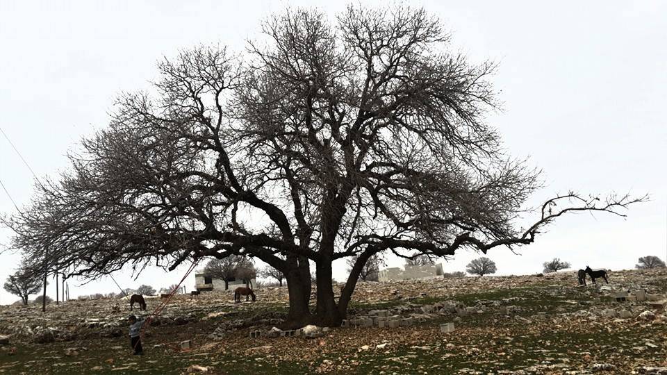 Nizip Duraklı Köyü Resimleri 1