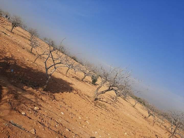 Nizip Dutlu Köyü Resimleri 8